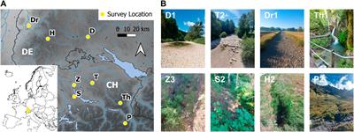 How well can people observe the flow state of temporary streams?